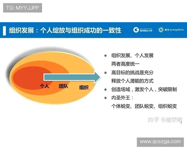 太阳崛起之路：从重建到总冠军争夺的蜕变与挑战