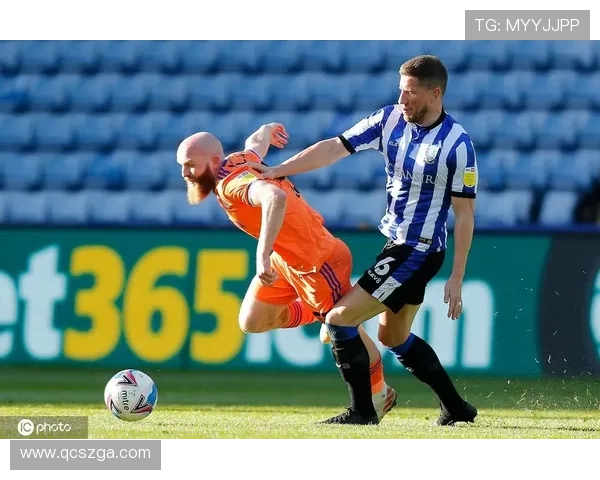 谢菲尔德星期三俱乐部的辉煌历程与未来展望探析