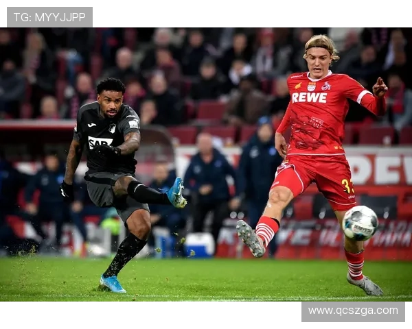 霍芬海姆1899足球俱乐部发展历程与未来展望分析